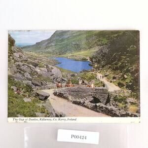 The Gap of Dunloe Killarney Co Kerry Ireland Vintage 1960s Postcard Horses